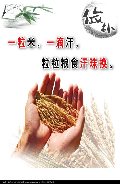办个假的大专毕业证书
